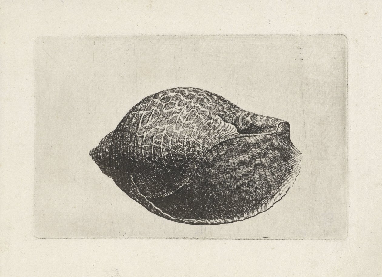  द्वारा Wenceslaus Hollar