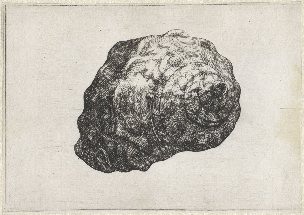  द्वारा Wenceslaus Hollar