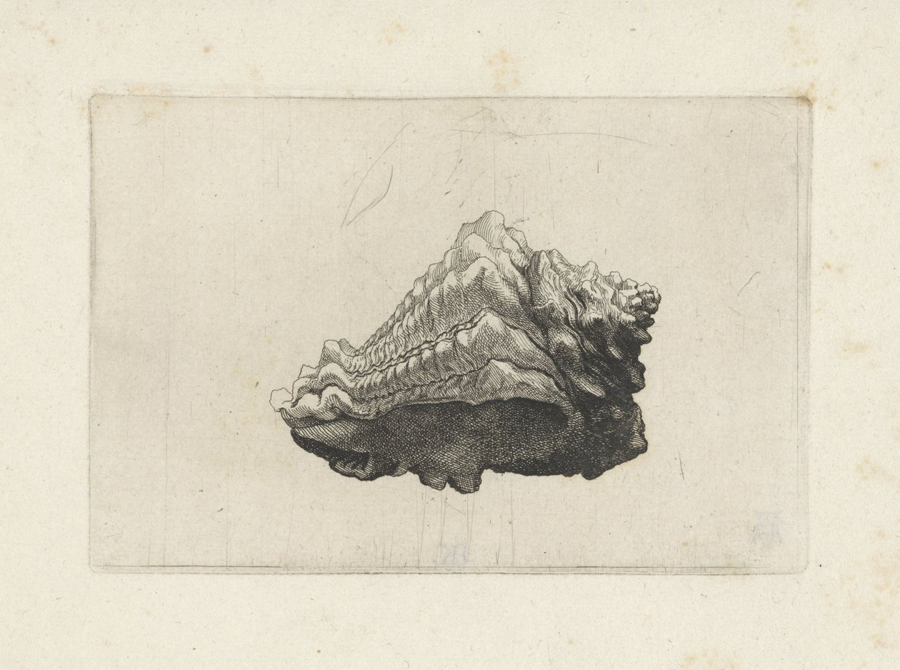  द्वारा Wenceslaus Hollar