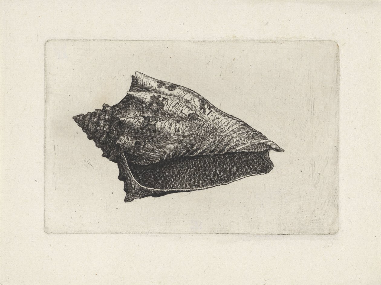  द्वारा Wenceslaus Hollar