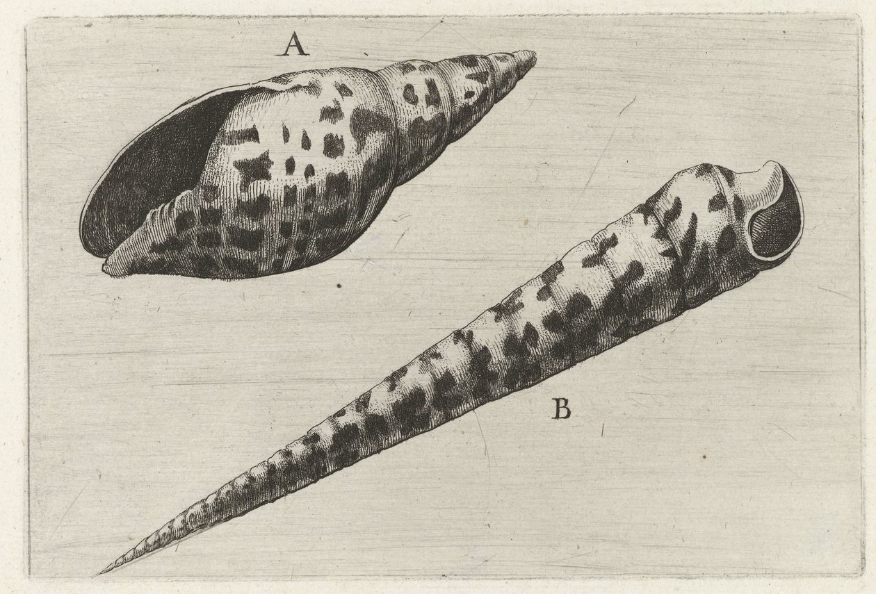  द्वारा Wenceslaus Hollar