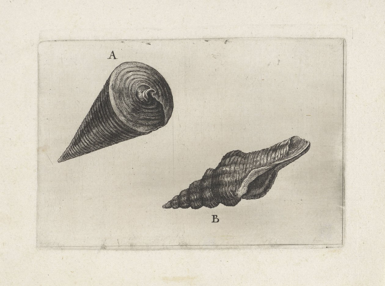  द्वारा Wenceslaus Hollar