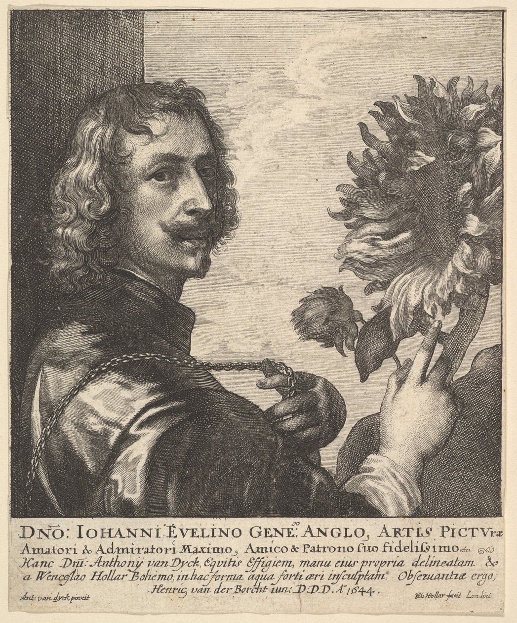 सर एंथोनी वैन डाइक एक सूरजमुखी, 1644 के साथ। द्वारा Wenceslaus Hollar