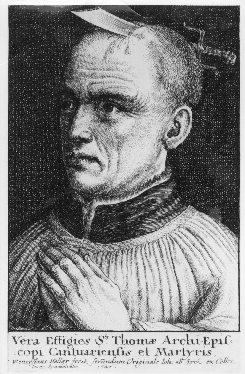  द्वारा Wenceslaus Hollar