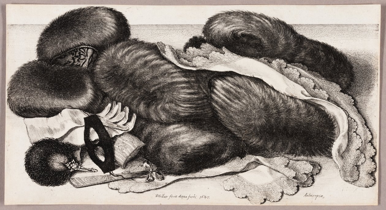  द्वारा Wenceslaus Hollar