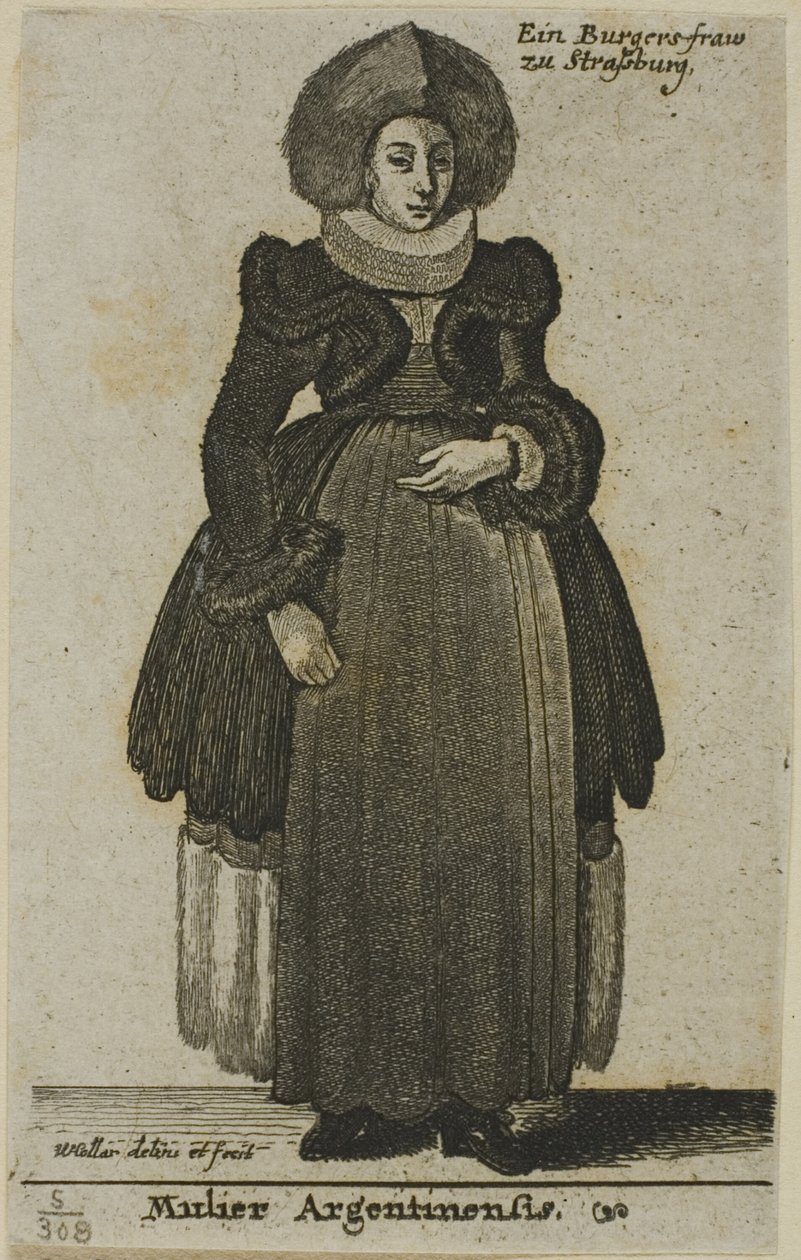  द्वारा Wenceslaus Hollar
