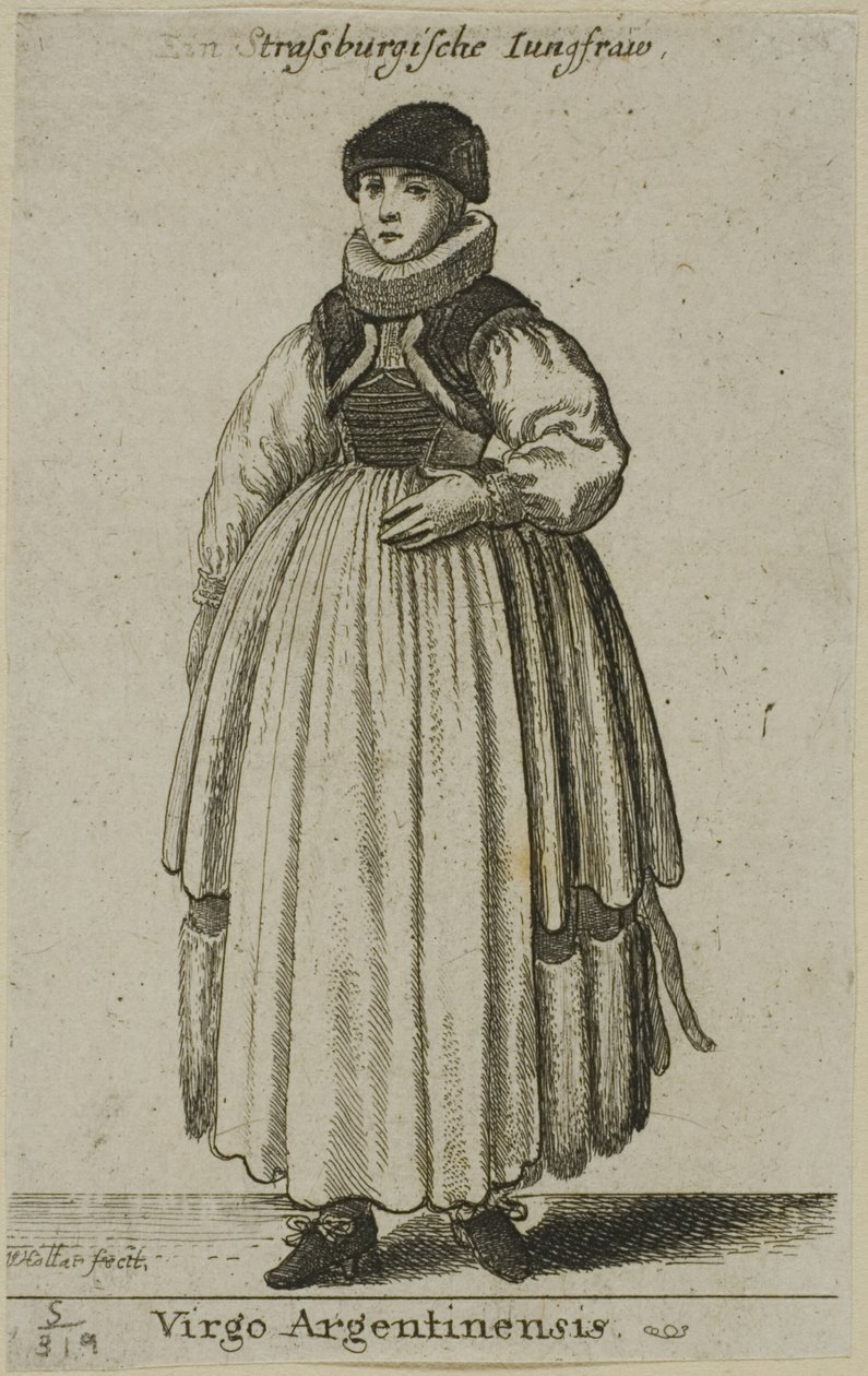  द्वारा Wenceslaus Hollar