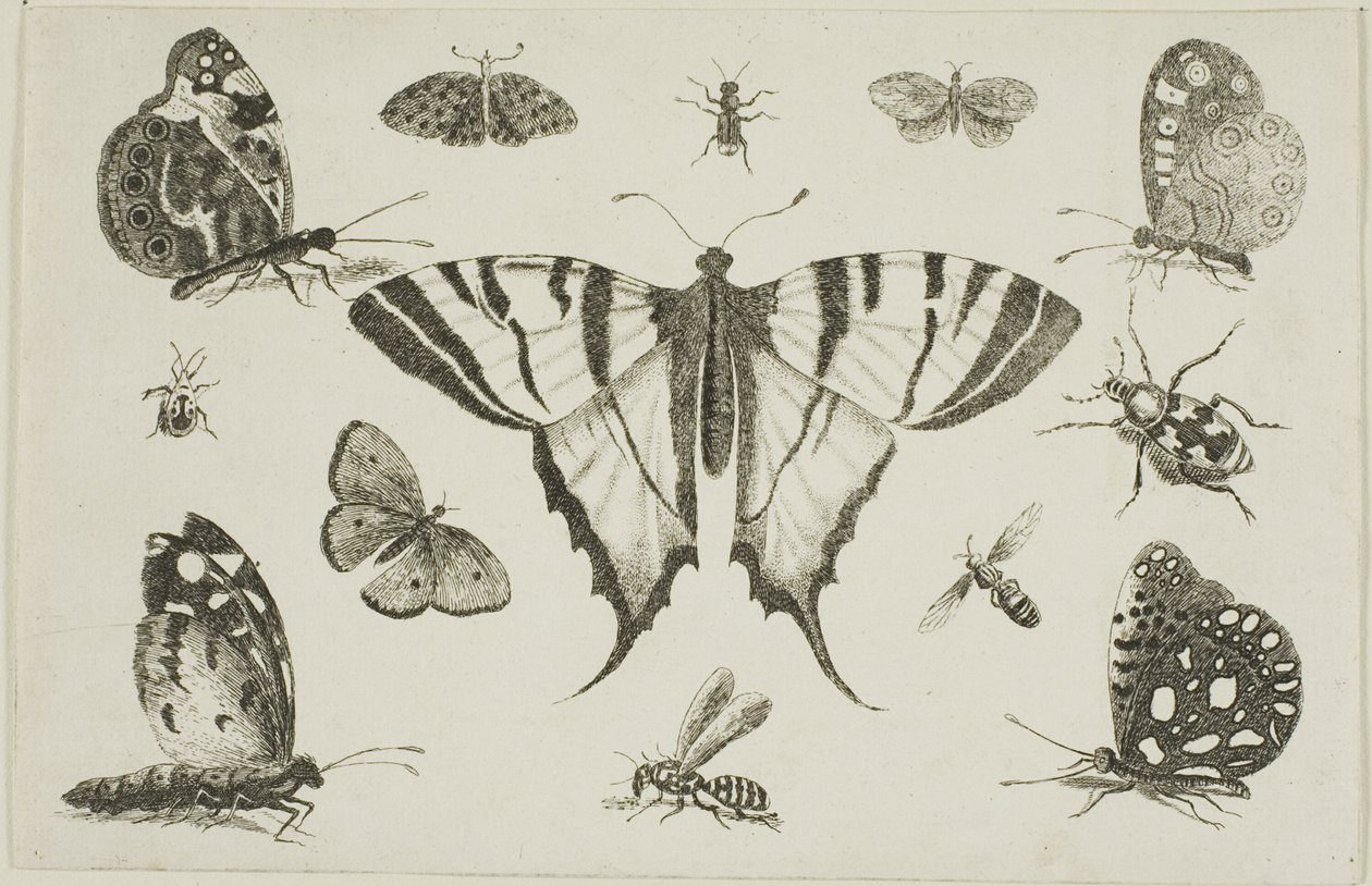  द्वारा Wenceslaus Hollar