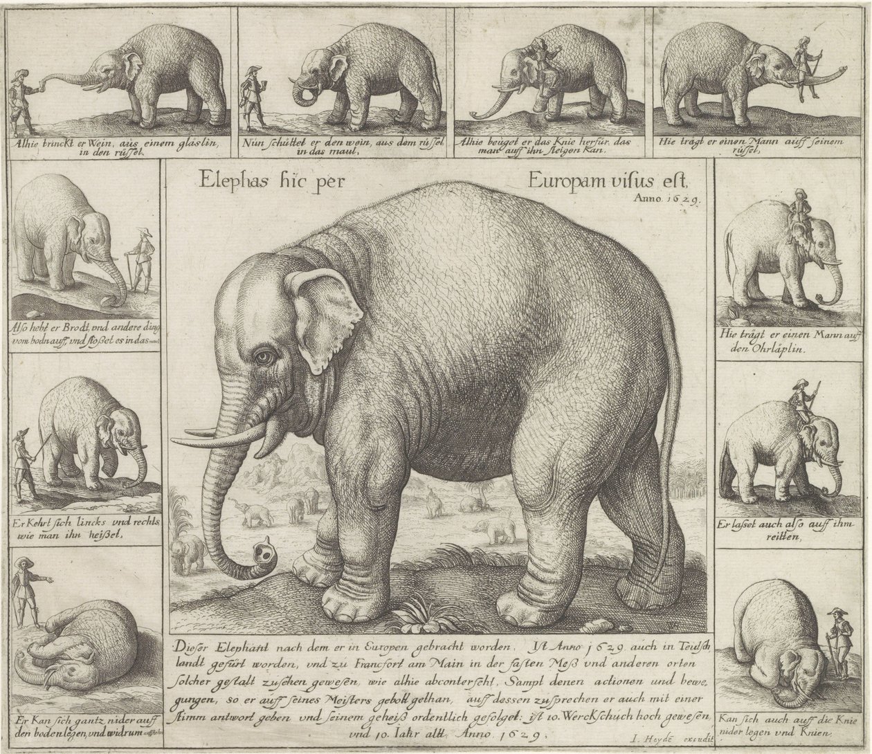  द्वारा Wenceslaus Hollar