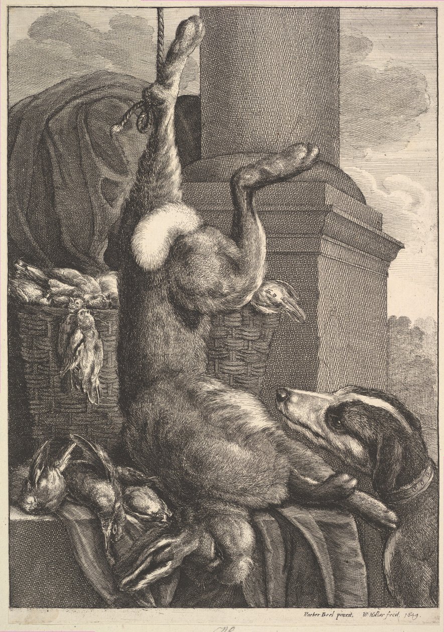 द डेड हरे, 1649। द्वारा Wenceslaus Hollar