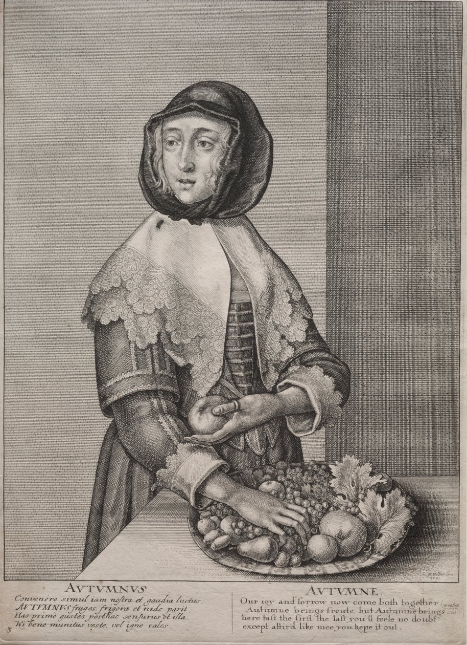  द्वारा Wenceslaus Hollar