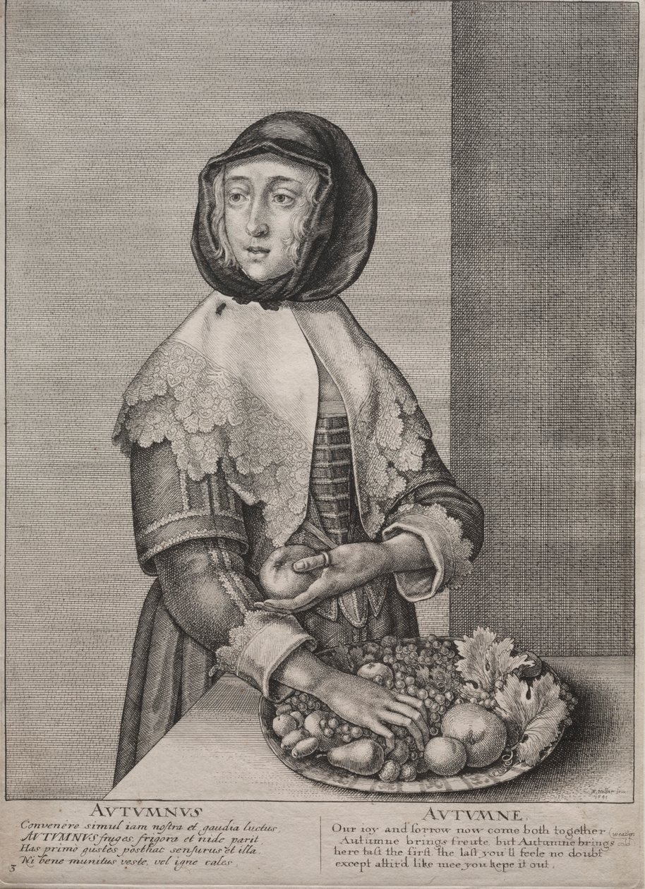 द फोर सीजन्स: ऑटम, 1641। द्वारा Wenceslaus Hollar