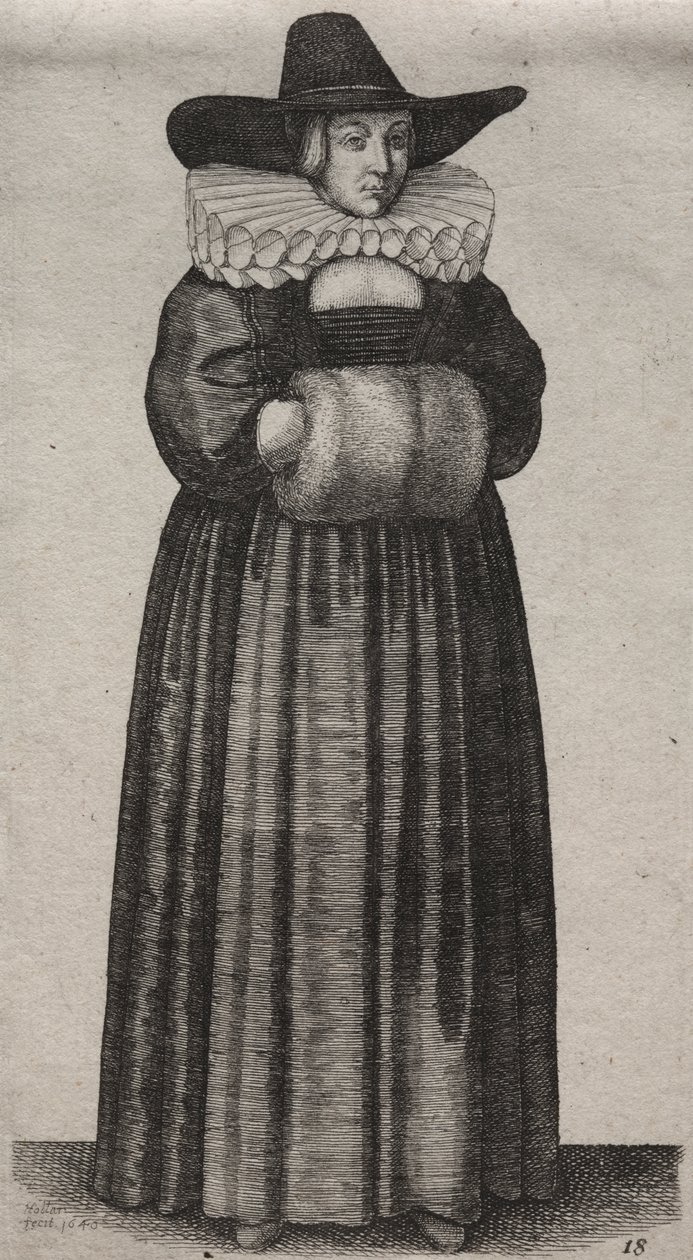  द्वारा Wenceslaus Hollar