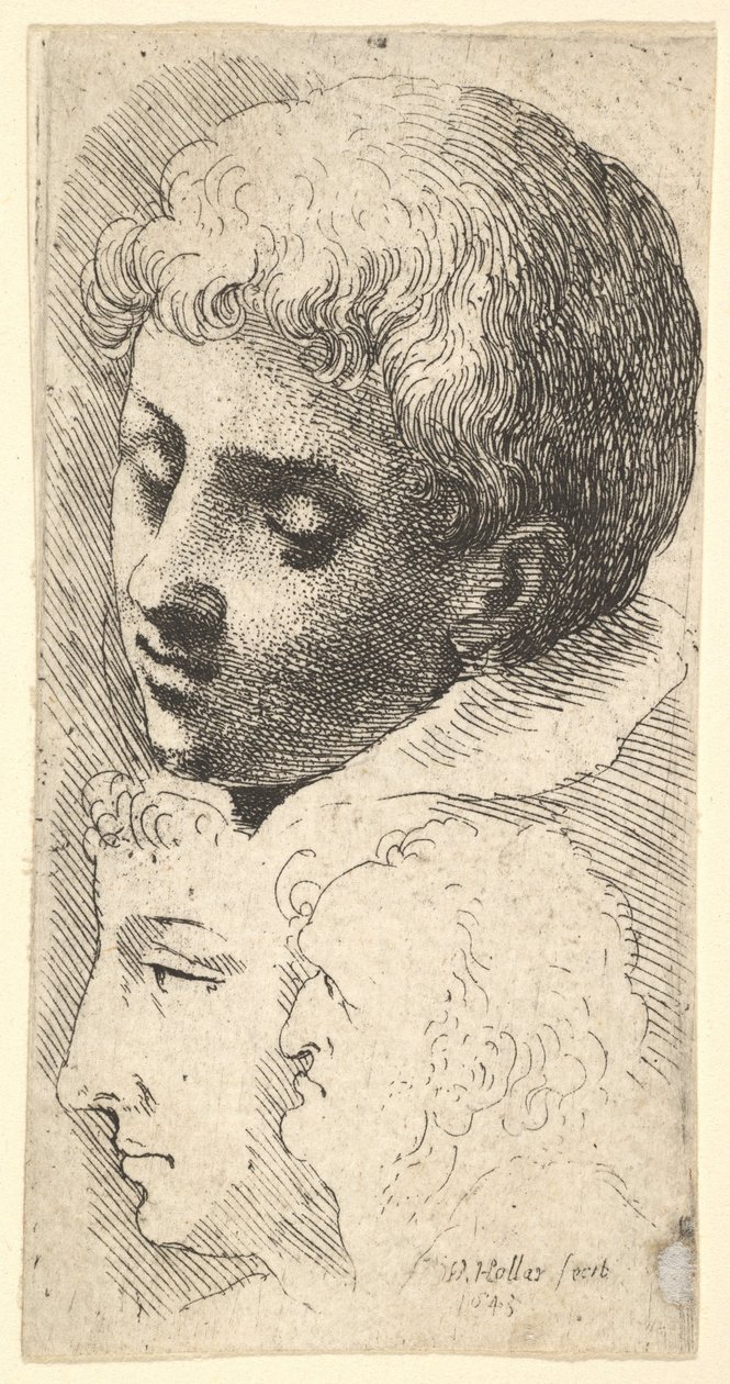 तीन सिर, 1645। द्वारा Wenceslaus Hollar