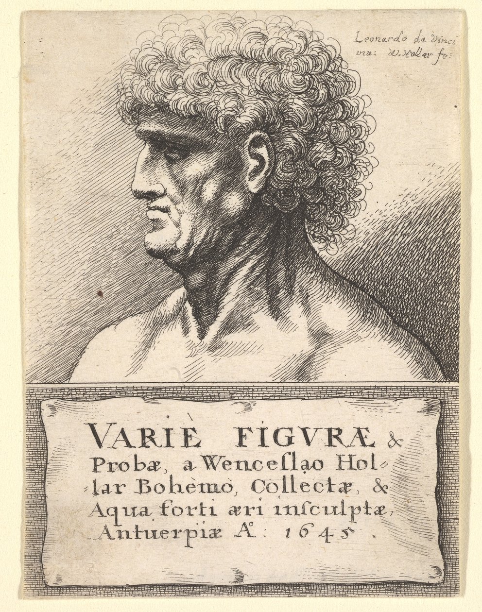 विभिन्न आंकड़ों के शीर्षक-पेज भी सही ढंग से 1645। द्वारा Wenceslaus Hollar