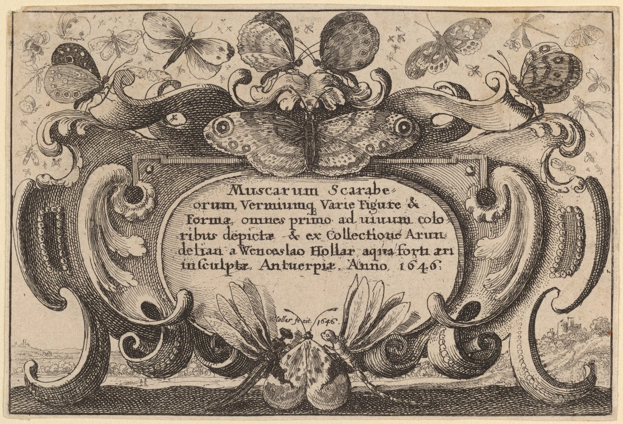 शीर्षक पेज द्वारा Wenceslaus Hollar