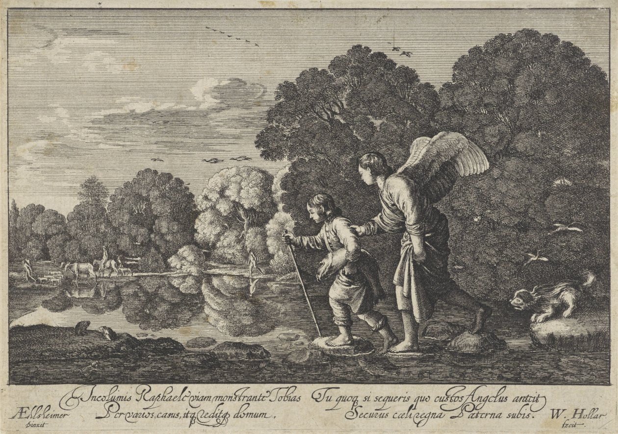  द्वारा Wenceslaus Hollar