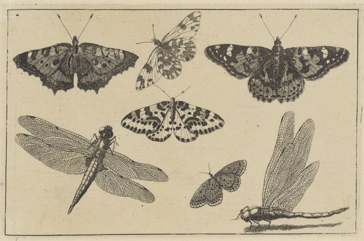  द्वारा Wenceslaus Hollar