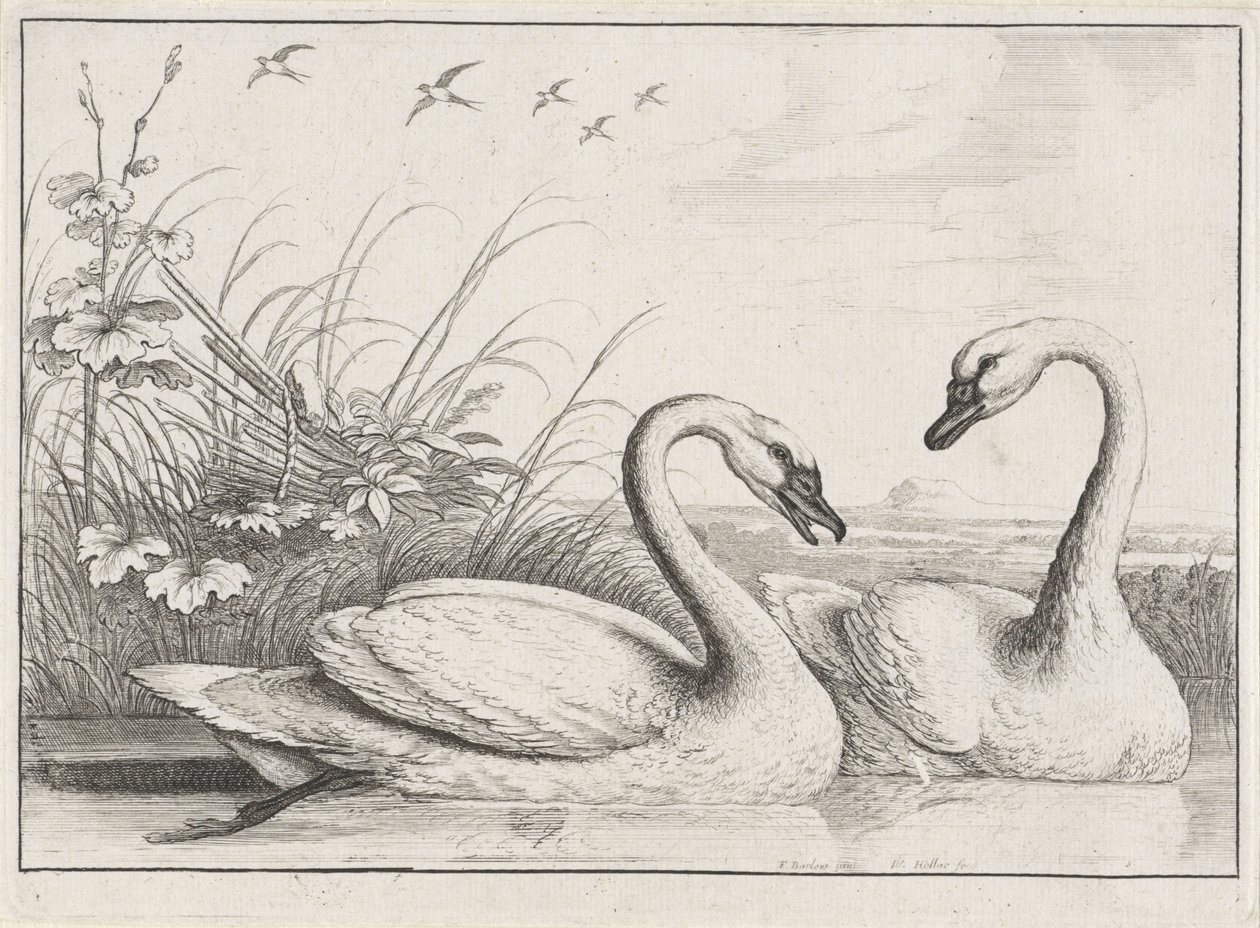  द्वारा Wenceslaus Hollar