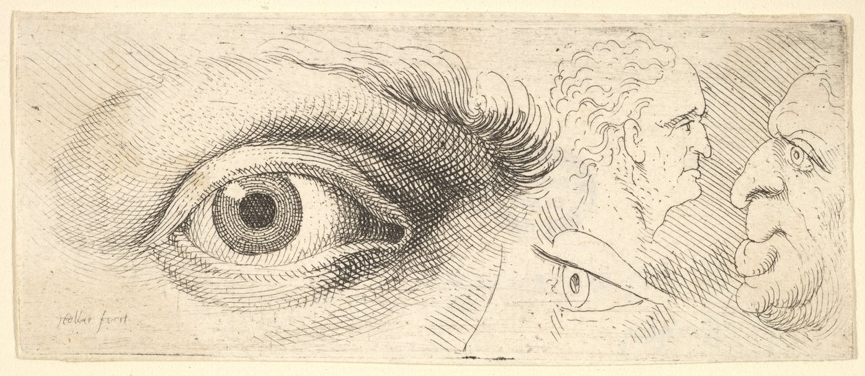 दो आँखें और दो सिर, 1644-52। द्वारा Wenceslaus Hollar