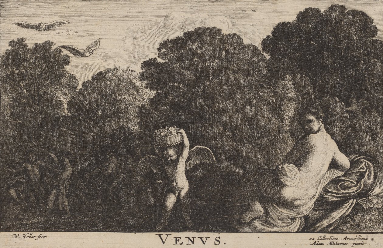 शुक्र। द्वारा Wenceslaus Hollar