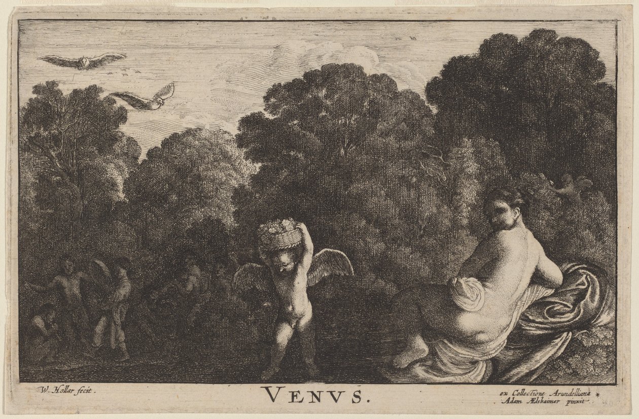 शुक्र द्वारा Wenceslaus Hollar