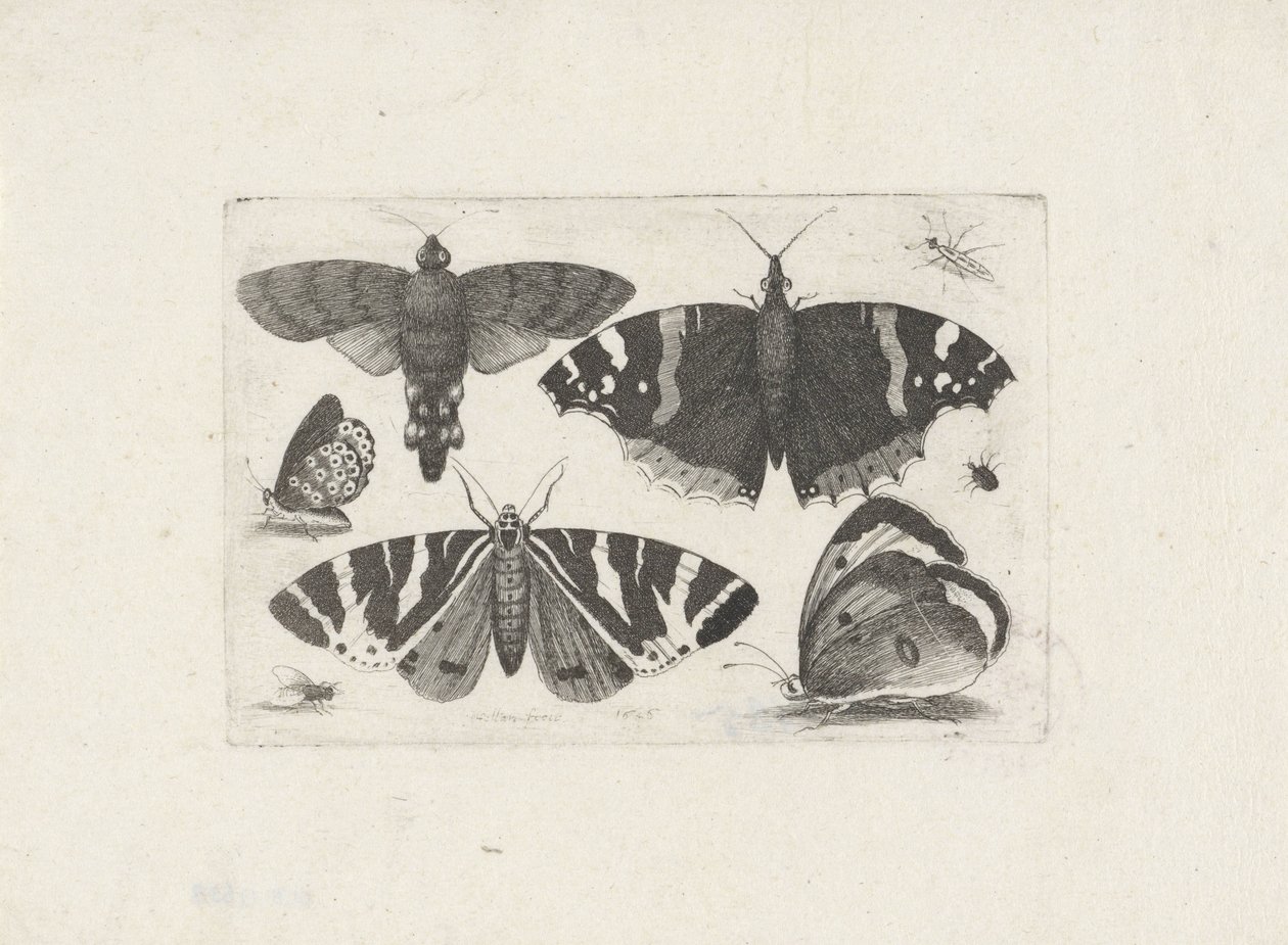  द्वारा Wenceslaus Hollar