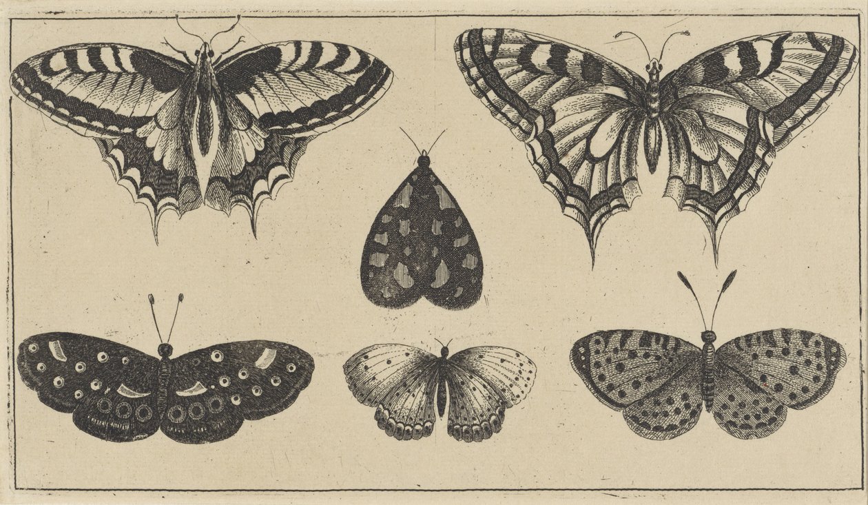  द्वारा Wenceslaus Hollar