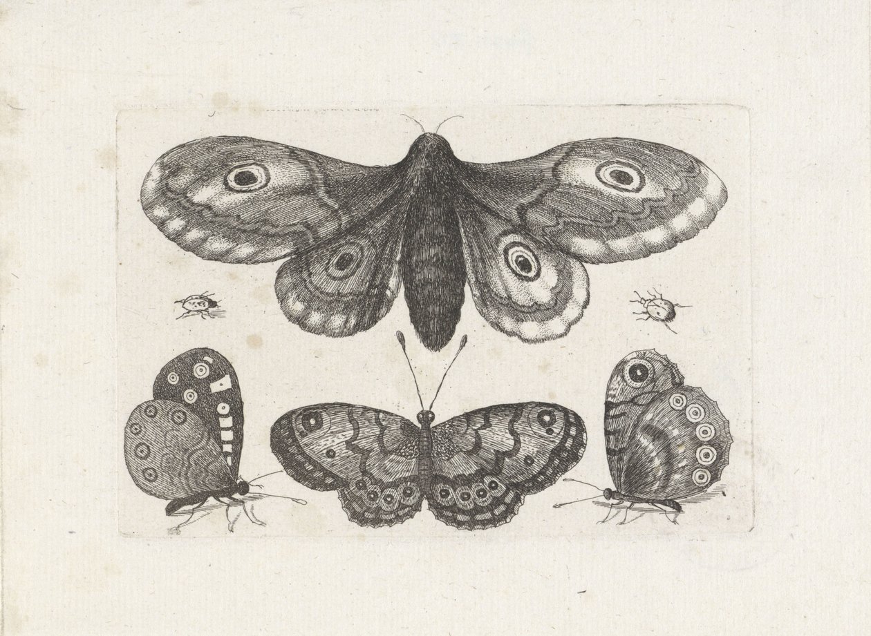  द्वारा Wenceslaus Hollar