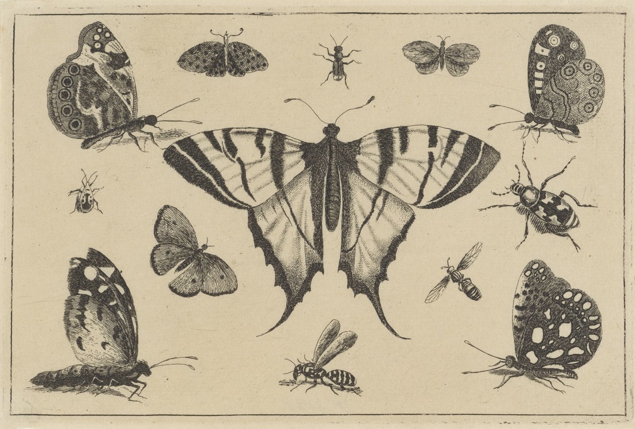  द्वारा Wenceslaus Hollar