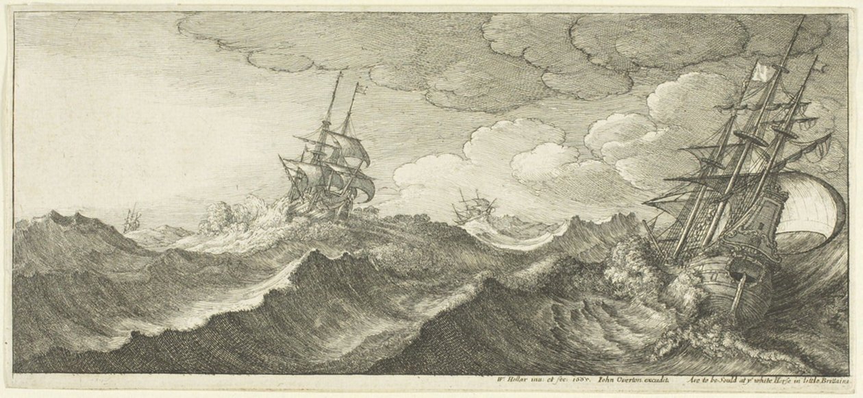  द्वारा Wenceslaus Hollar