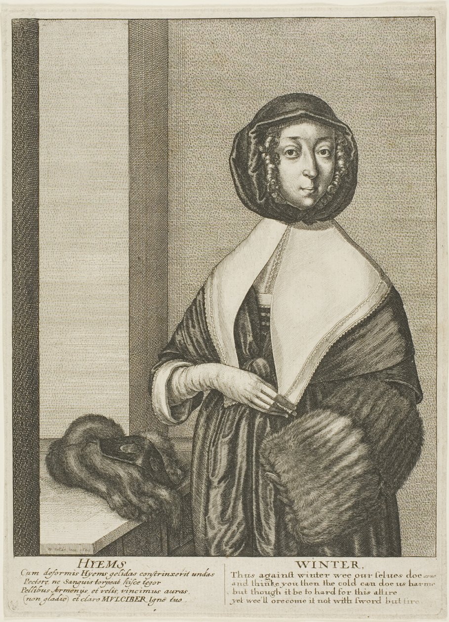  द्वारा Wenceslaus Hollar