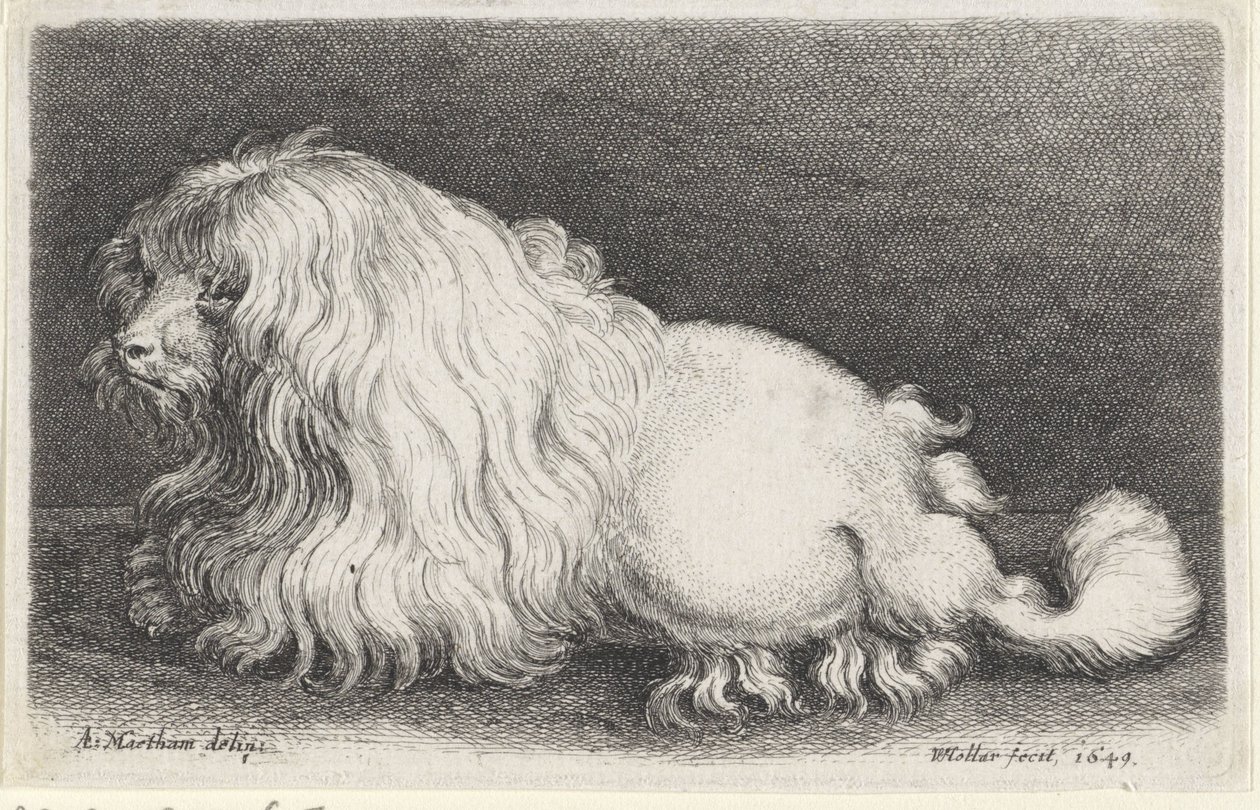  द्वारा Wenceslaus Hollar