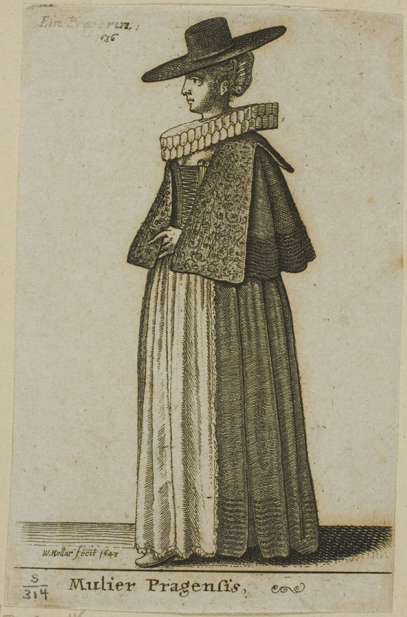  द्वारा Wenceslaus Hollar