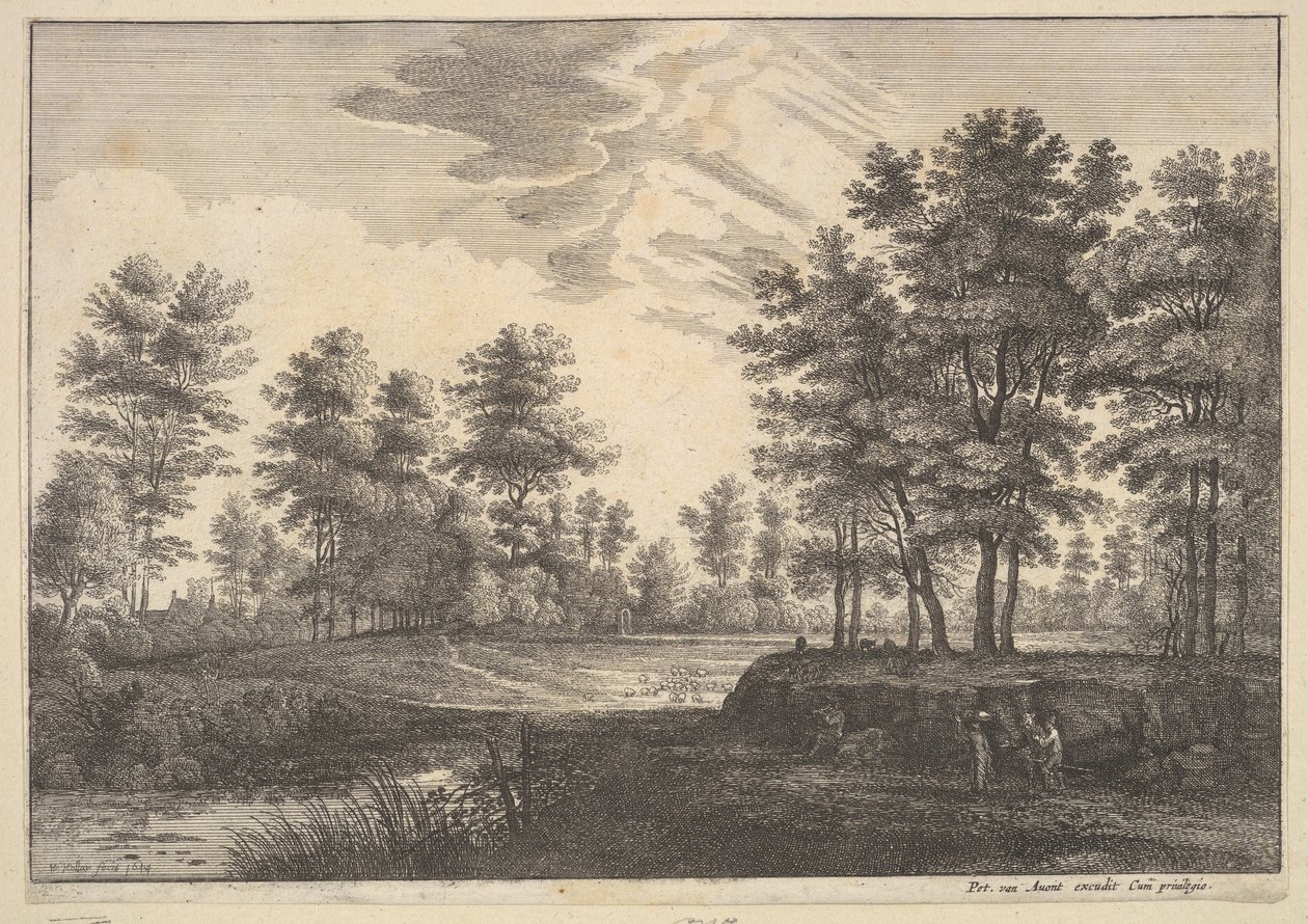 वुडेड लैंडस्केप, 1644। द्वारा Wenceslaus Hollar