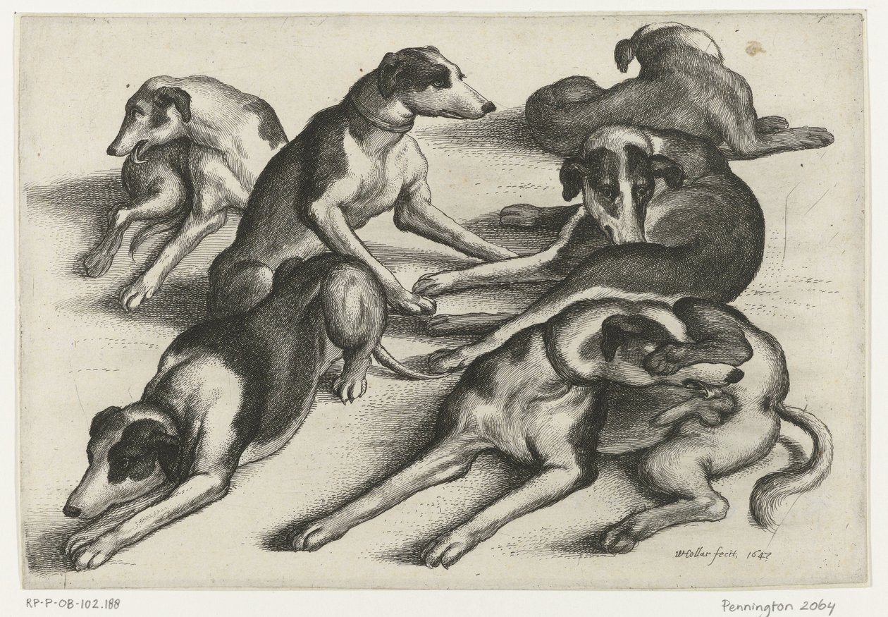  द्वारा Wenceslaus Hollar