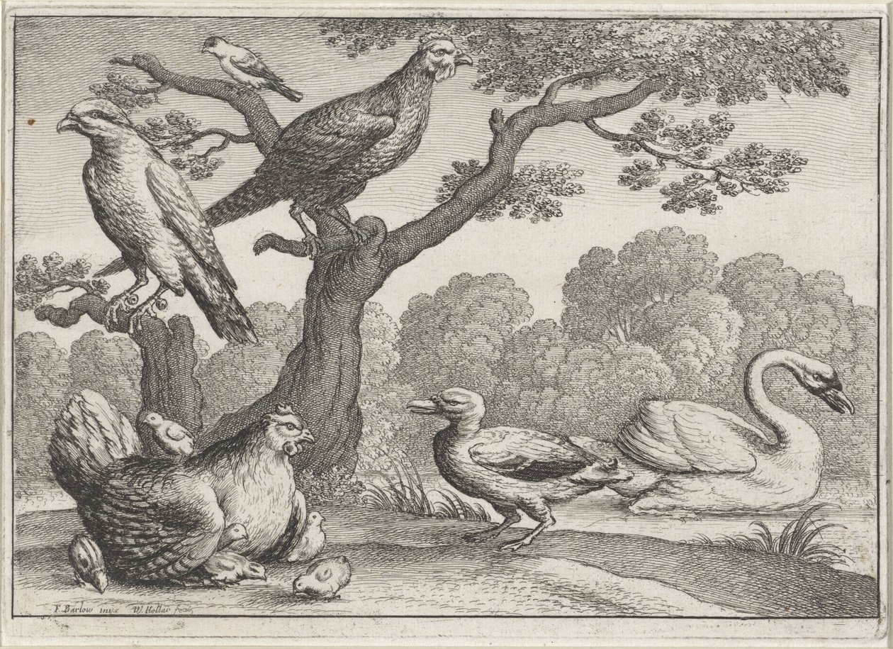  द्वारा Wenceslaus Hollar