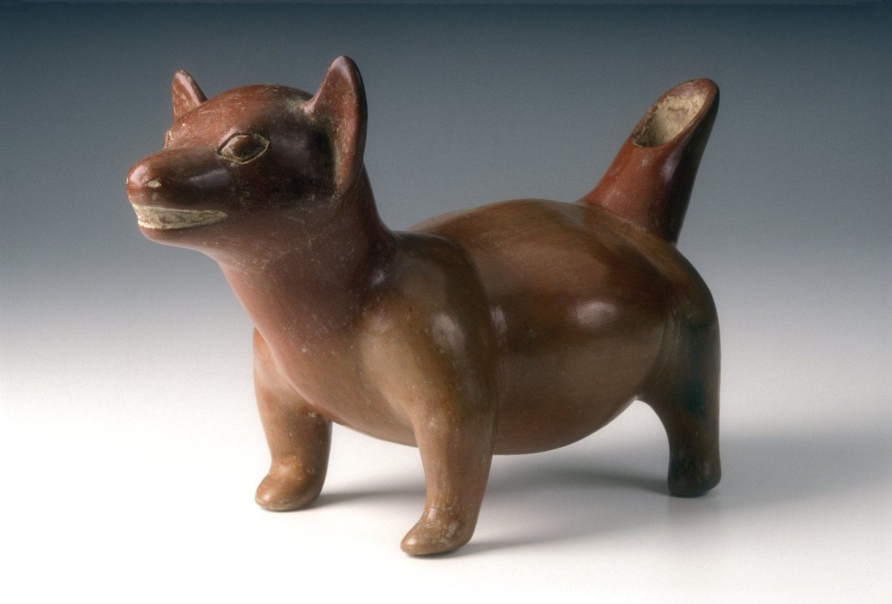डॉग एफीसी वेसल, c.200 BCE-300 CE (सिरेमिक) द्वारा पश्चिम मैक्सिकन