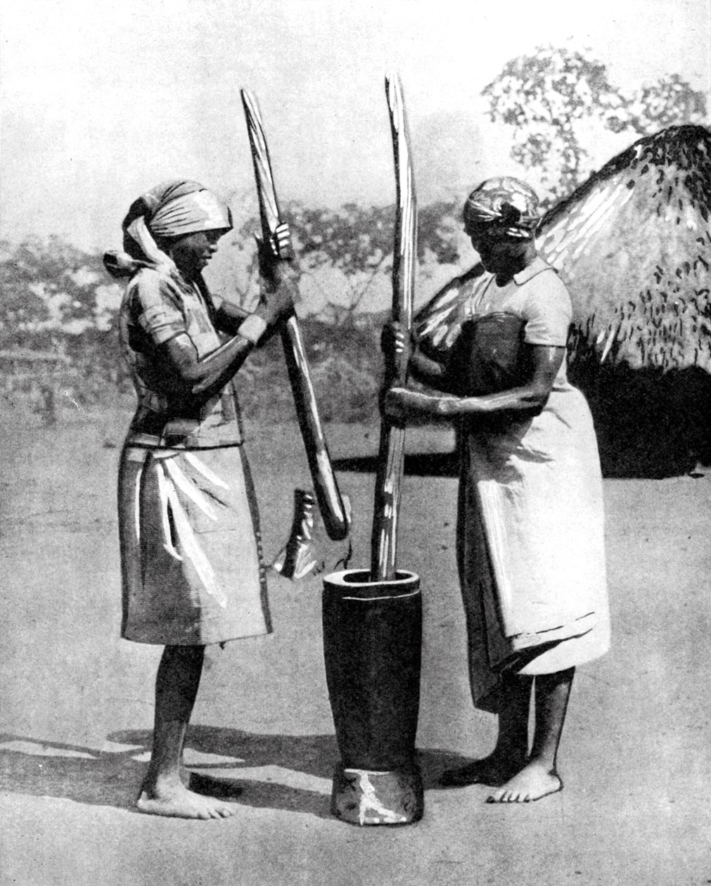 दो मशोना आदिवासी महिलाएँ तेज़ मक्का और बाजरा, ज़िम्बाब्वे, अफ्रीका, 1936। द्वारा वाइड वर्ल्ड तस्वीरें