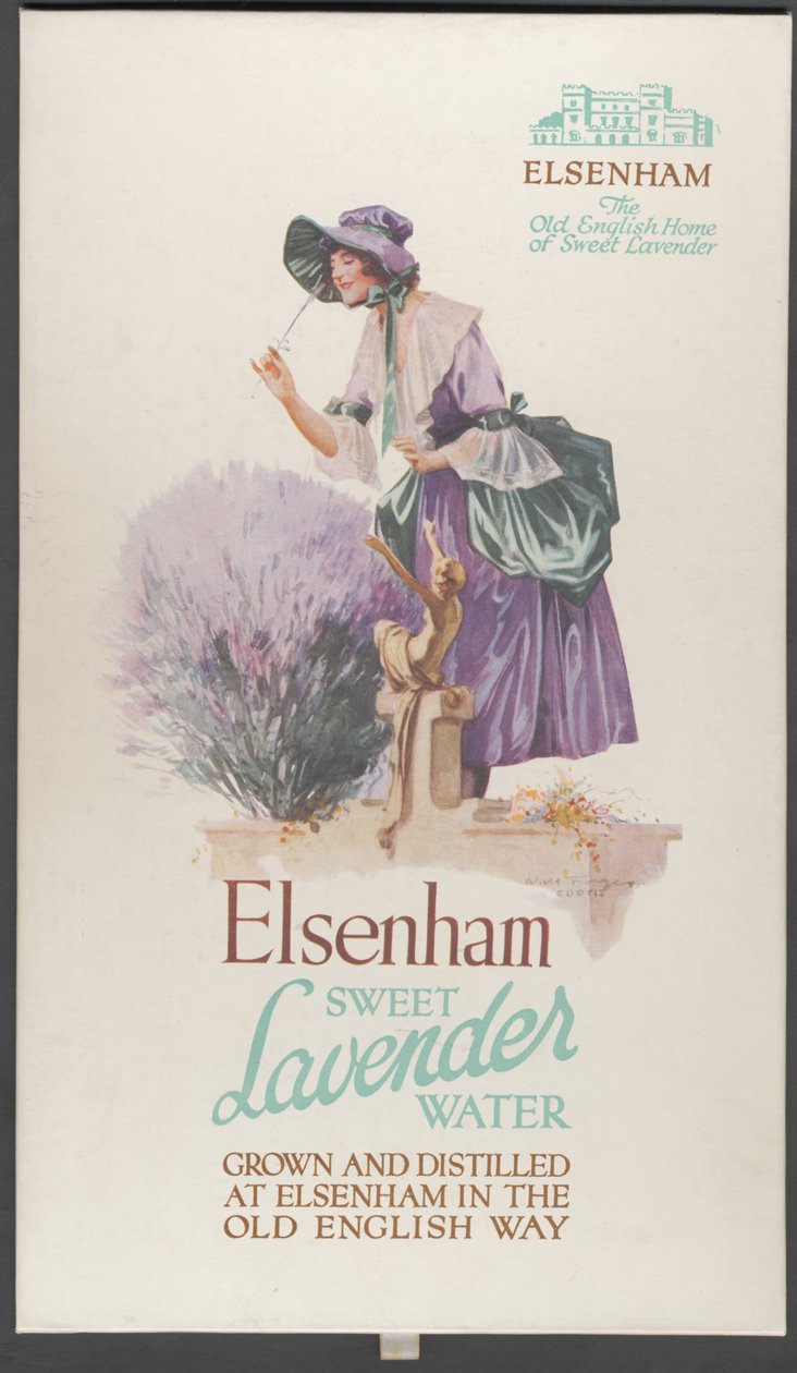 Elsenham लैवेंडर, 1920s द्वारा विल्फ्रेड फ्रायर