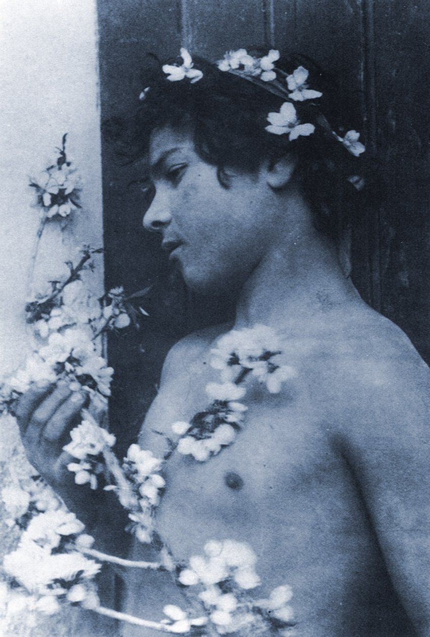 अपने बालों में फूलों के साथ एक युवा लड़के का अध्ययन, c.1899 (सायनोटाइप) द्वारा बैरन विल्हेम वॉन ग्लोडेन