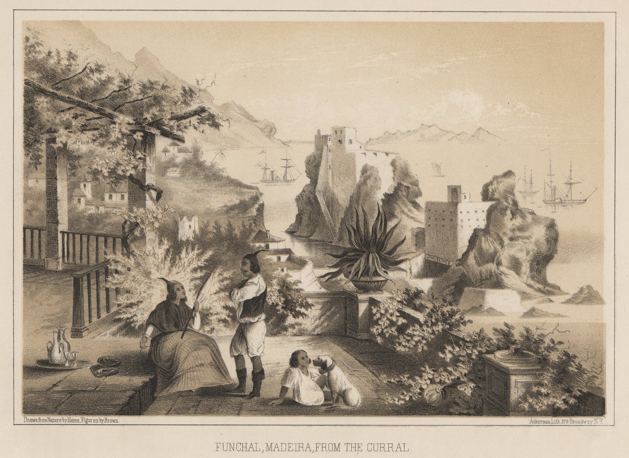 फुरचल, मदीरा, कराल से, 1885 द्वारा विल्हेम जोसेफ हेन