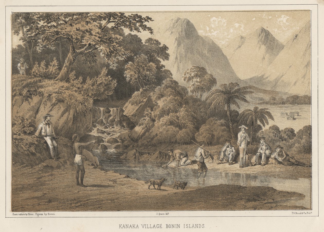 विलेज विलेज बोनिन आइलैंड्स, 1855 द्वारा विल्हेम जोसेफ हेन