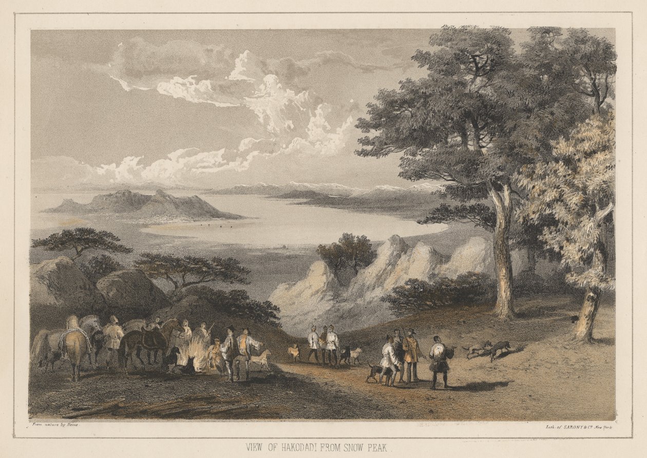 स्नोक पीक, 1855 से हाकोदडी का दृश्य द्वारा विल्हेम जोसेफ हेन