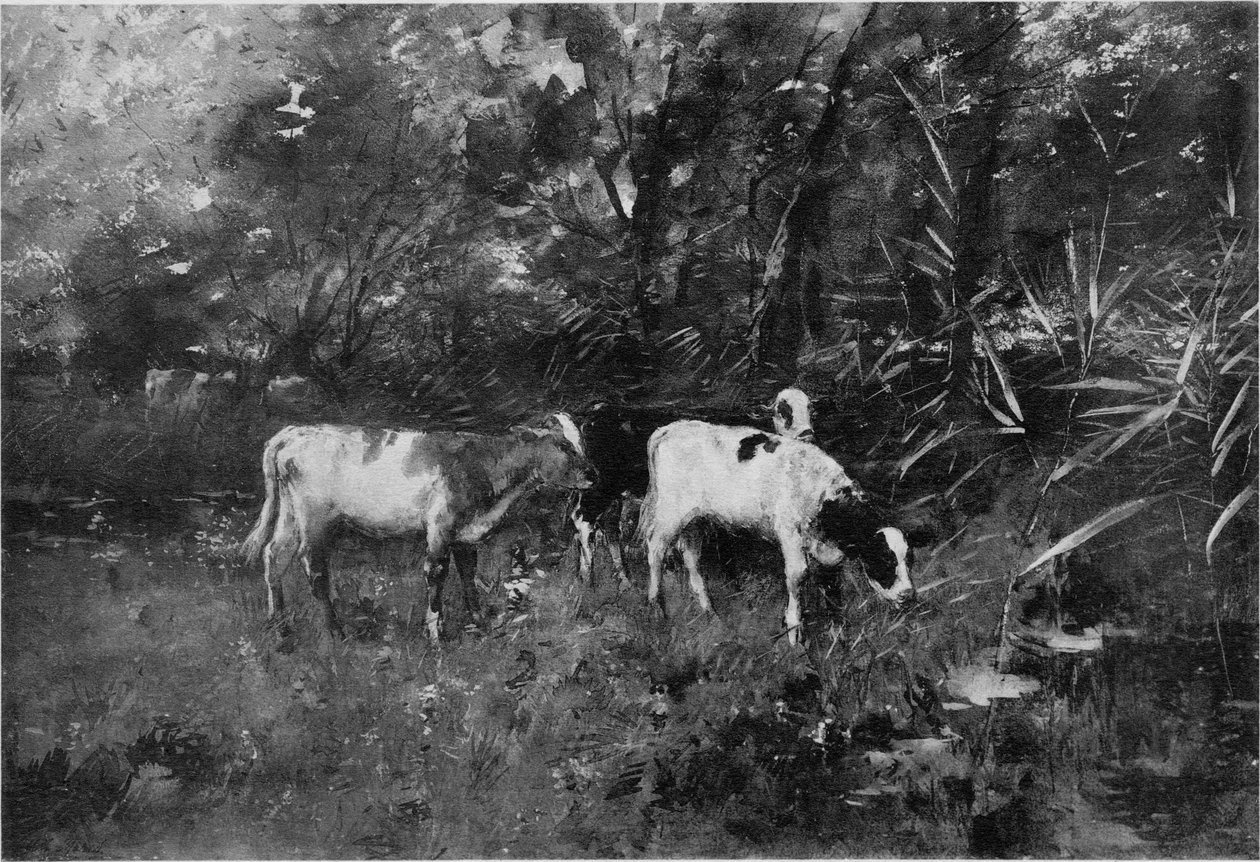 गायों द्वारा विलेम मैरिसो