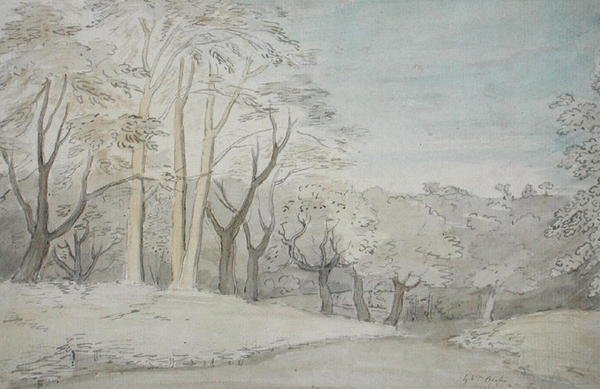 एक वुडी लैंडस्केप, c.1801 (wc और ग्रेफाइट पेपर पर) द्वारा विलियम ब्लेक