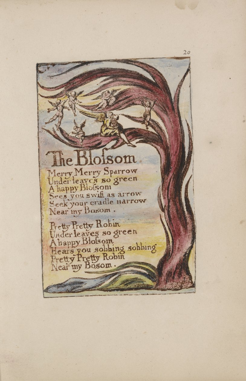 द ब्लॉसम, प्लेट 20 ऑफ सांग्स ऑफ इनोसेंस एंड एक्सपीरियंस [बेंटले 11] c.1789-94 (पेन और इंक और wc के साथ भूरे रंग में मुद्रित राहत नक़ल द्वारा विलियम ब्लेक