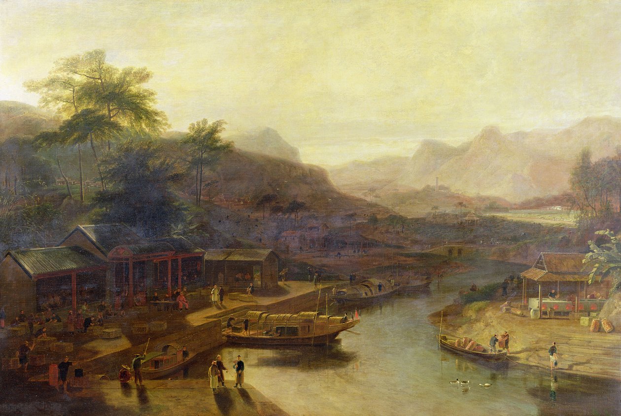 चीन में एक दृश्य: चाय के पौधे की खेती, c.1810 द्वारा विलियम डेनियल