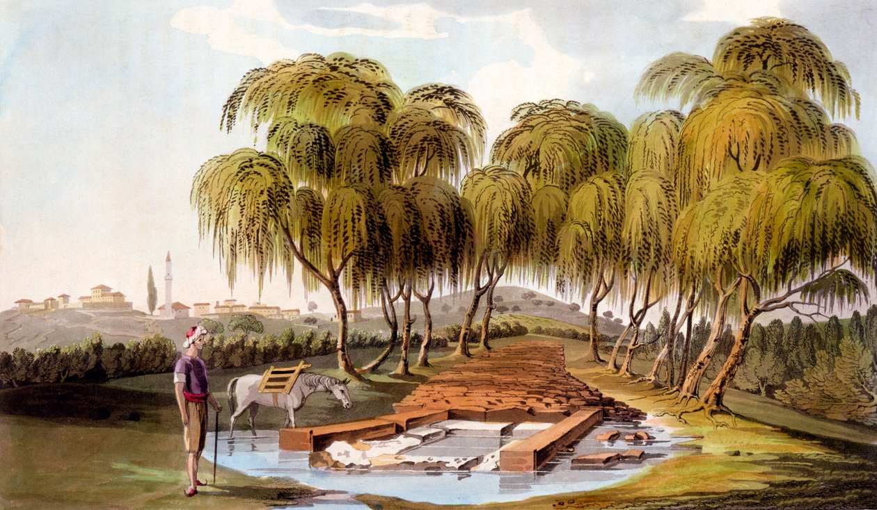 स्कैमैंडर नदी के स्रोत पर वसंत, 1804 द्वारा विलियम गेल