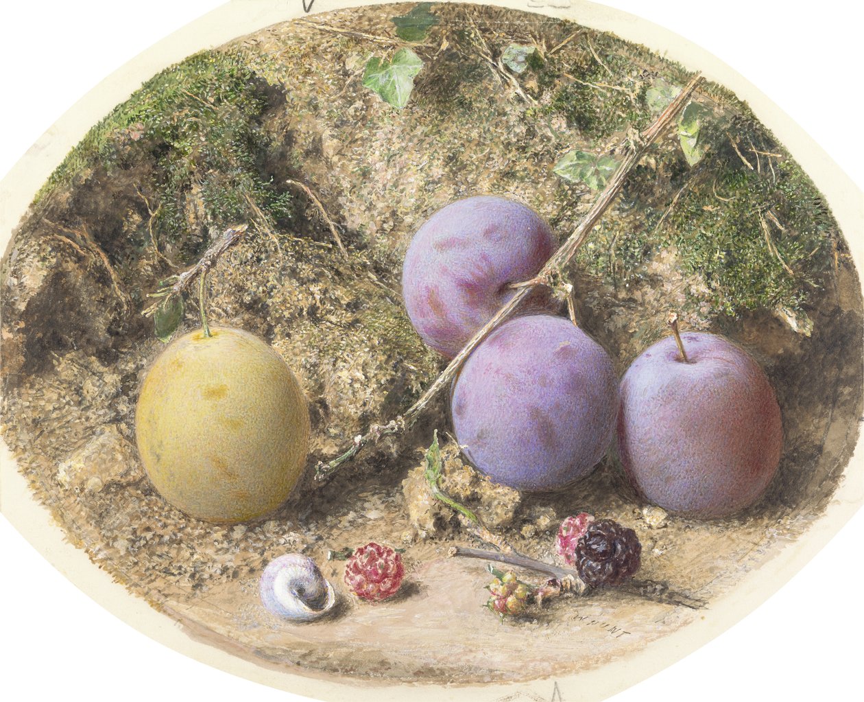 प्लम और शहतूत, c.1860 (कार्ड पर ग्रेफाइट से अधिक) द्वारा विलियम हेनरी हंट